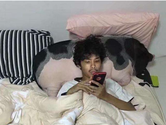 男子和宠物猪同吃同睡,声称要一起度过余生,周围人表示难以理解