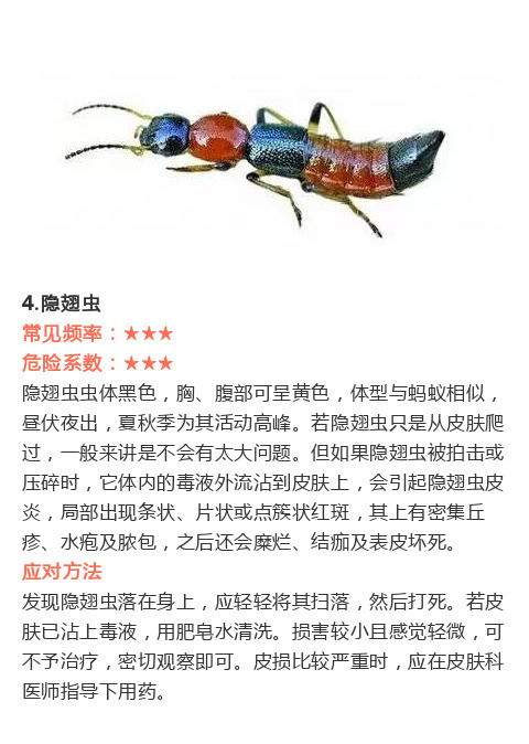 一些虫子咬伤后的紧急处理办法,速度mark