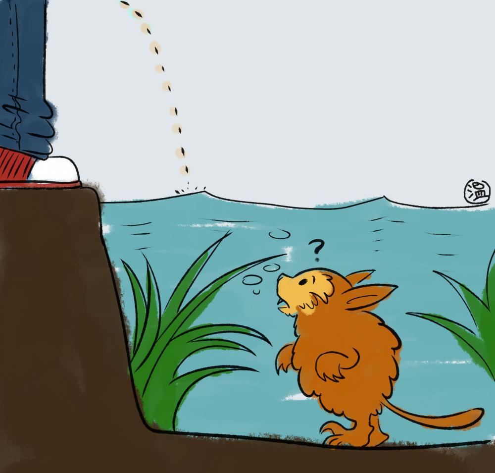 网上的水猴子照片都是什么动物?