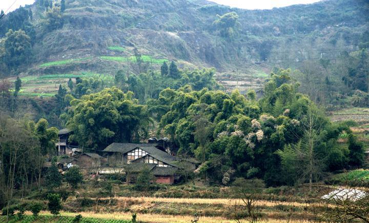 四川的大山里, 有个生我养我的小山村
