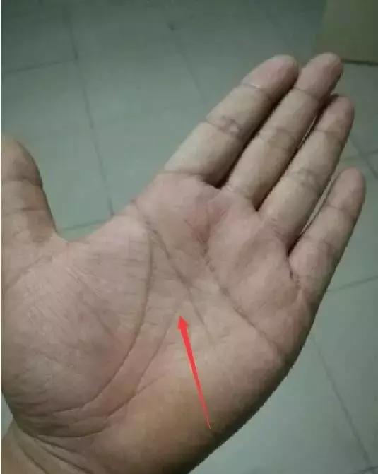 看看你手上有"通天纹"吗?