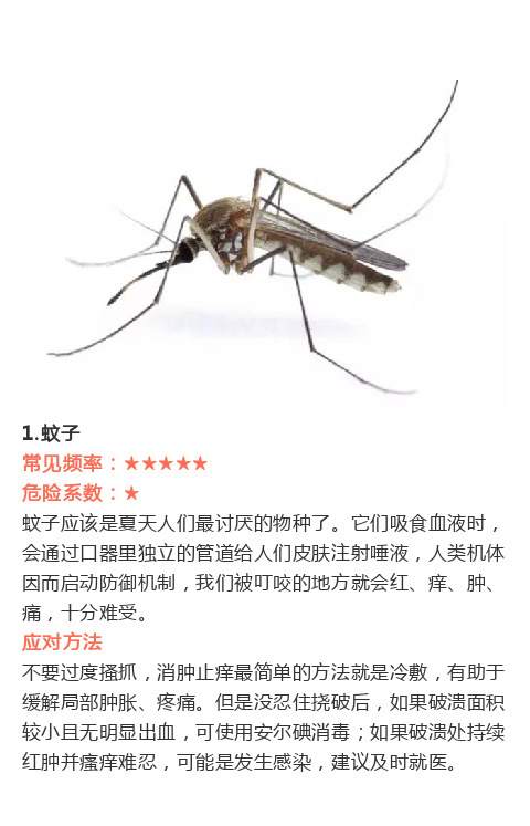 一些虫子咬伤后的紧急处理办法,速度mark