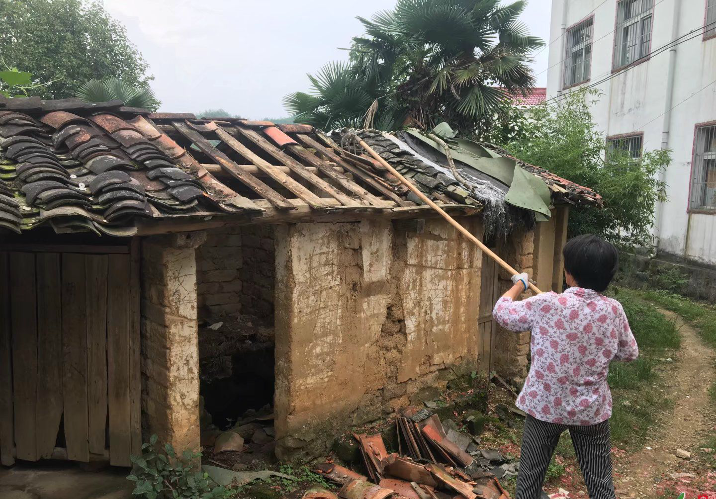 农村这样的厕所有多少人上过,实拍河南农村厕所,你敢用吗