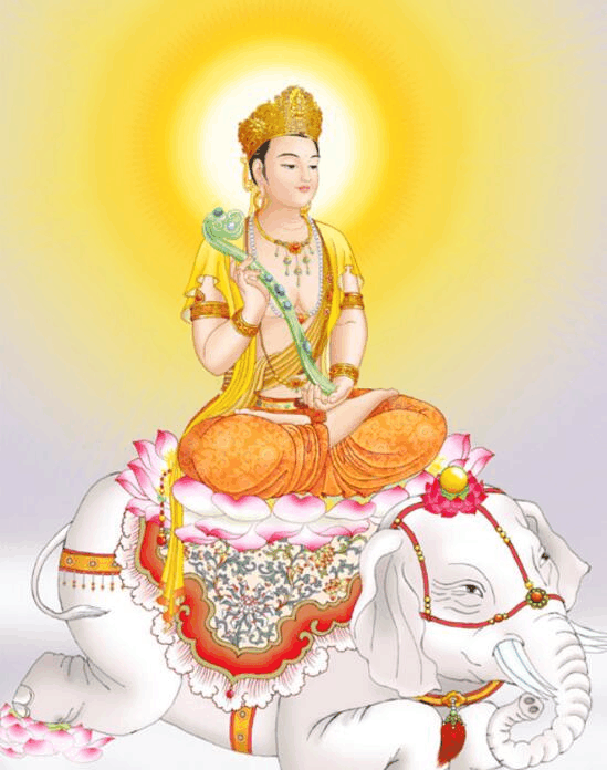 西游记为什么普贤菩萨的坐骑黄牙老象也下界为妖