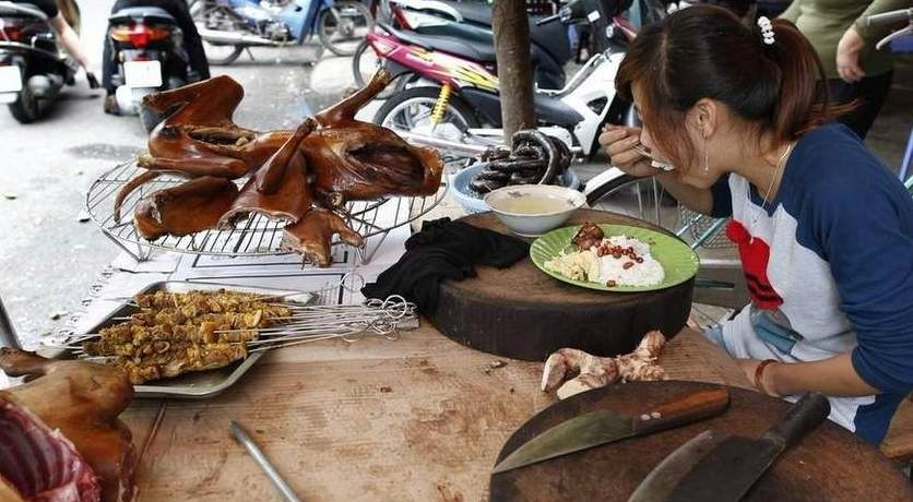 一组图直击越南人残忍的吃狗肉习俗,触目心