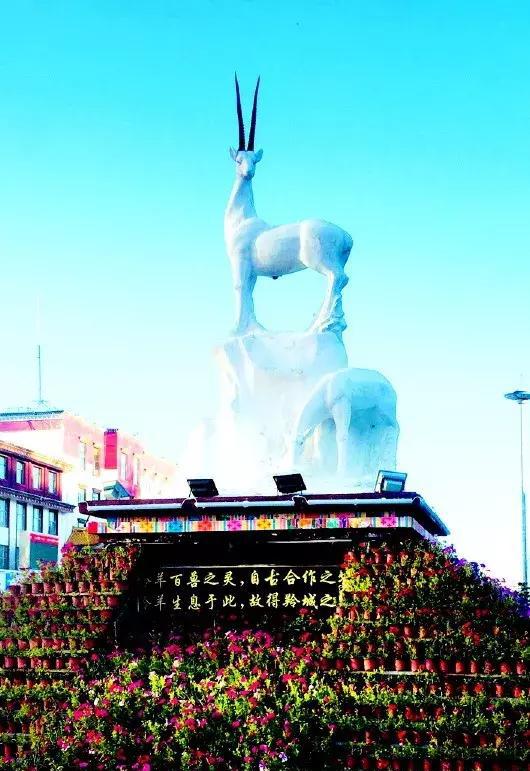 原来,屹立在合作市中心的羚羊雕塑是这样来的!