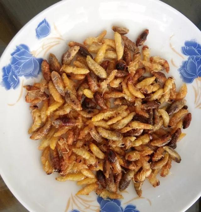 昆虫菜你吃过哪几种?有没有跟我一样一个都不敢尝试的?