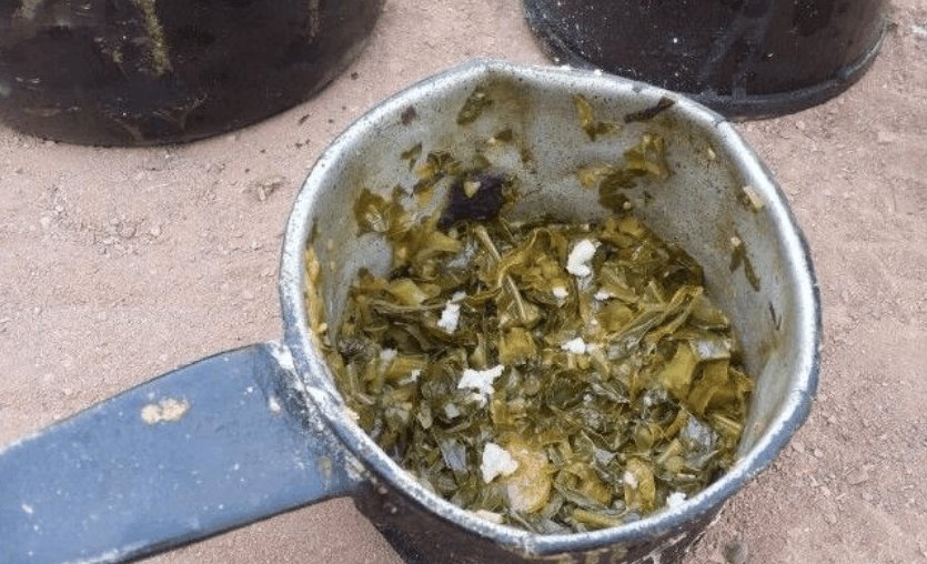 非洲的农村孩子吃这个就是大餐, 看着很心疼