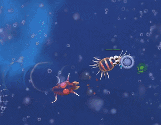 吞噬尸鲲进阶为异兽这都是10年前玩剩下的