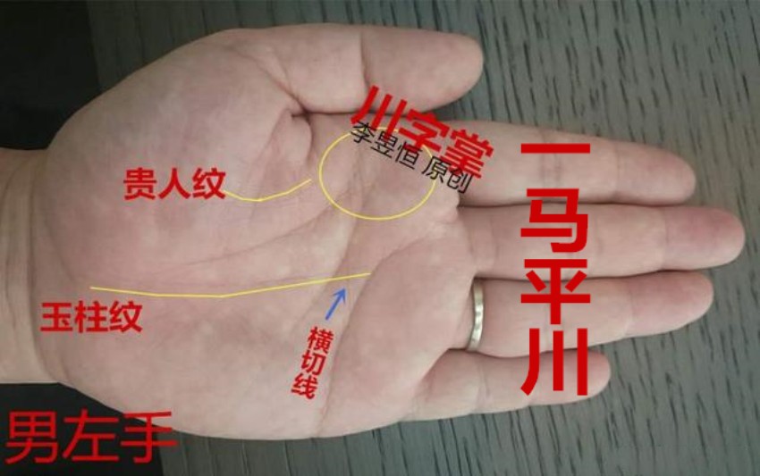 手相双龙纹正偏财均有一马平川十人九富