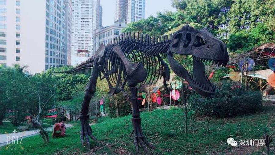 走新游平台正式上线深圳求水山龙之谷亲子套票