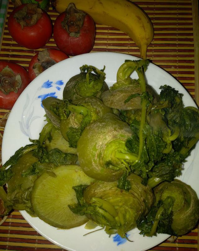 菜头羽毛球(羽毛球头是什么材料)