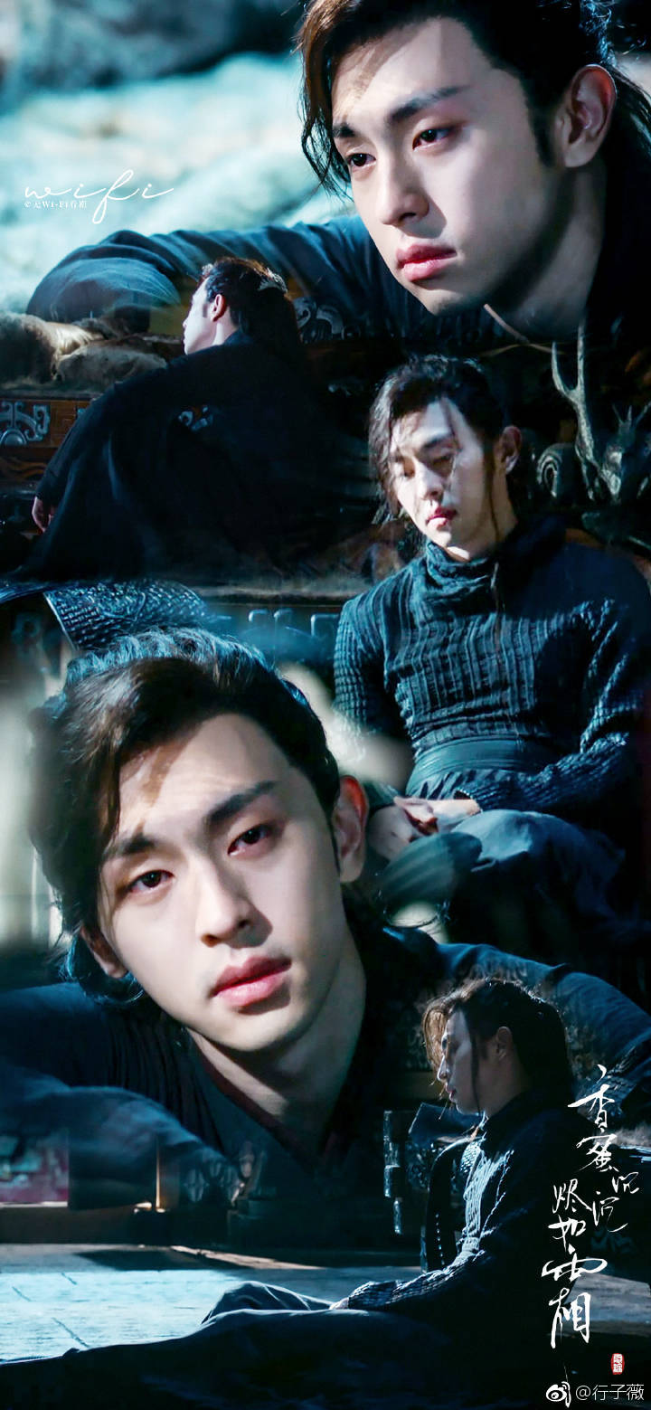 一壶清酒 一身尘灰最好的旭凤香蜜女孩最爱的魔尊 @邓伦