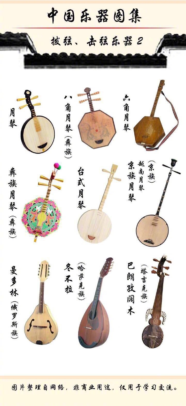 中国最全的拨弦击弦类乐器合集种类十分多涨姿势了