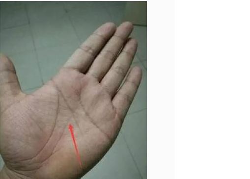 成功人士的手掌都一样手中有通天纹离成功近一大半