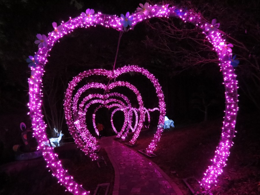 走新游平台正式上线深圳求水山龙之谷亲子套票