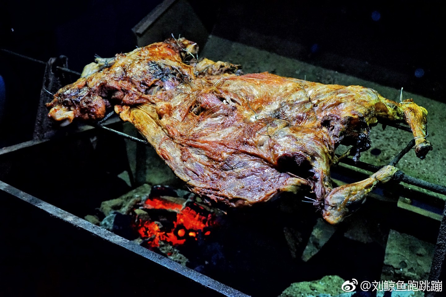 昨天这还是一直呆萌的小羊,今天烤全羊入味又香甜.