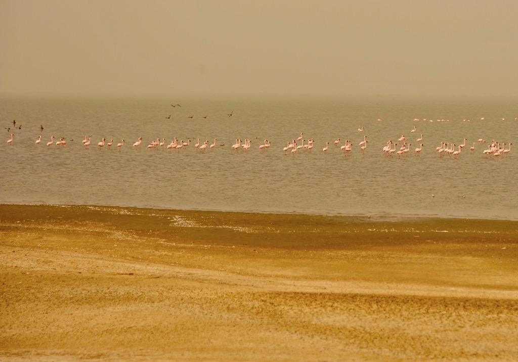 小攻略1:从毛里塔尼亚陆路过关到塞内加尔,免签