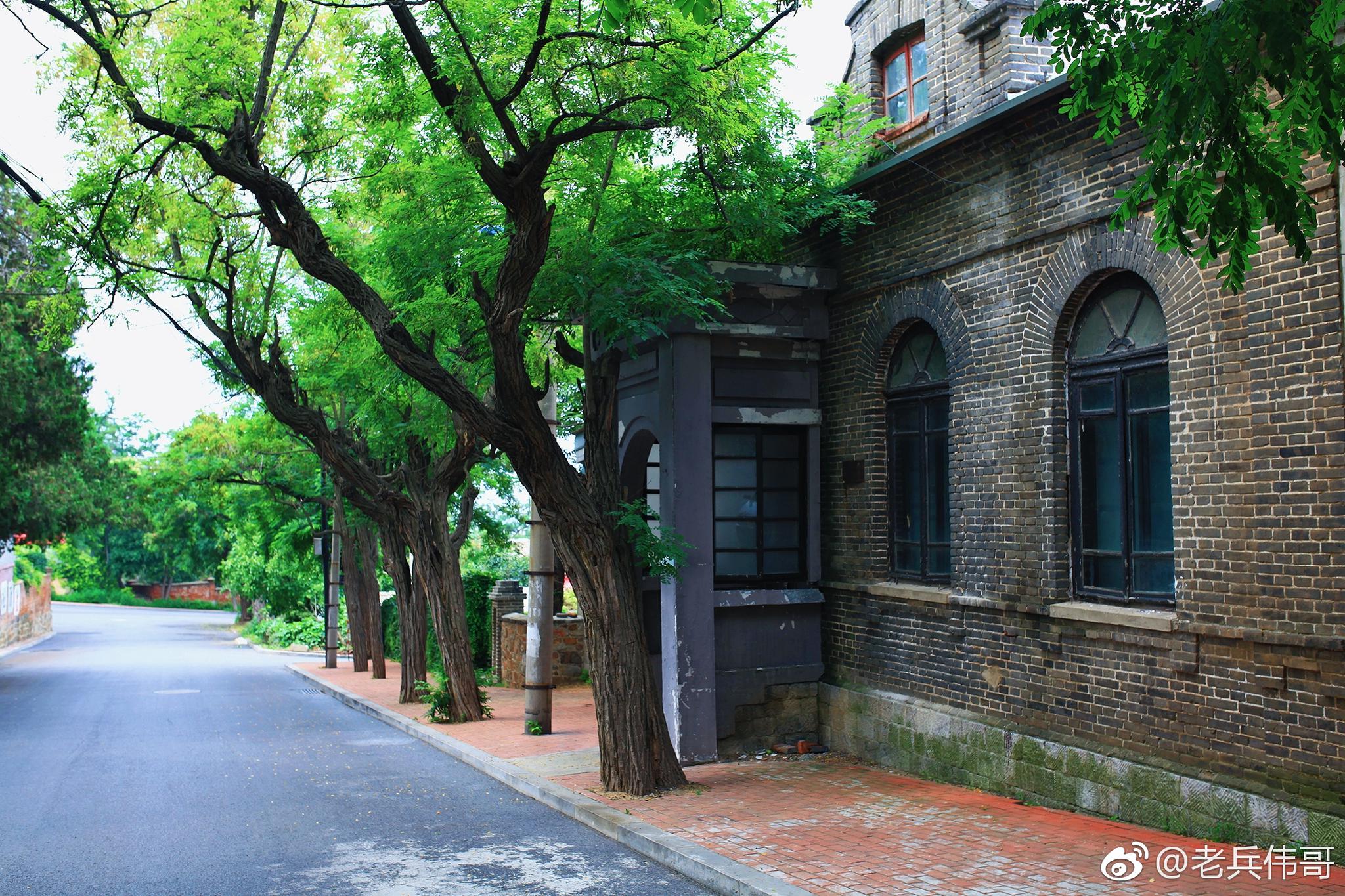 遇见大连61夏日太阳沟