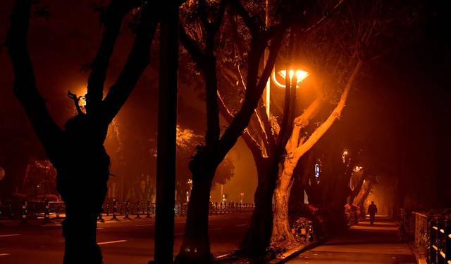 海口大雾再起,有似仙境