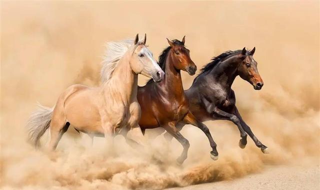 乘骐骥以驰骋 屈原诗句的深意与2026马年春晚主题