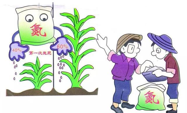 你家的植物该施肥了不然明年就没力气长啦