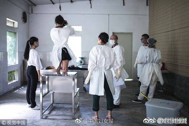 解剖上千具尸体女法医:我们是正常人|南方医科大学|尸检|尸体_新浪