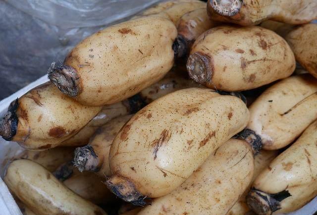 秋藕最养人,立秋后要多吃,这么做才好吃