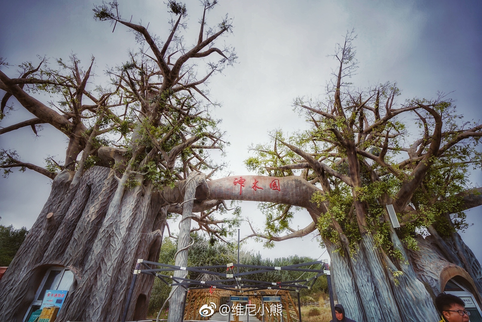 新疆阿克苏天山神木园,被称为"戈壁明珠"