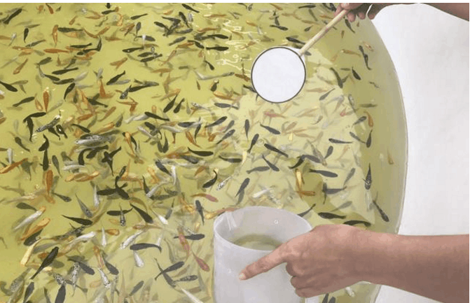 在泰国街头感受"纸网捞金鱼"的乐趣, 2元一回, 您猜捞到了啥?