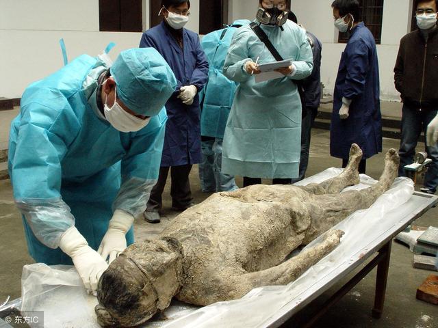 值得竖起大拇指|古尸|盗墓贼|盗墓_新浪新闻