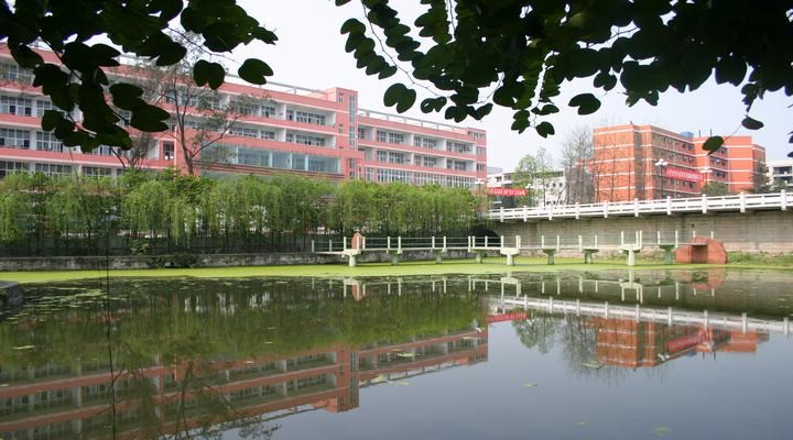 宜宾市四中获得"全国效能领跑者"殊荣,是四川省所有中学