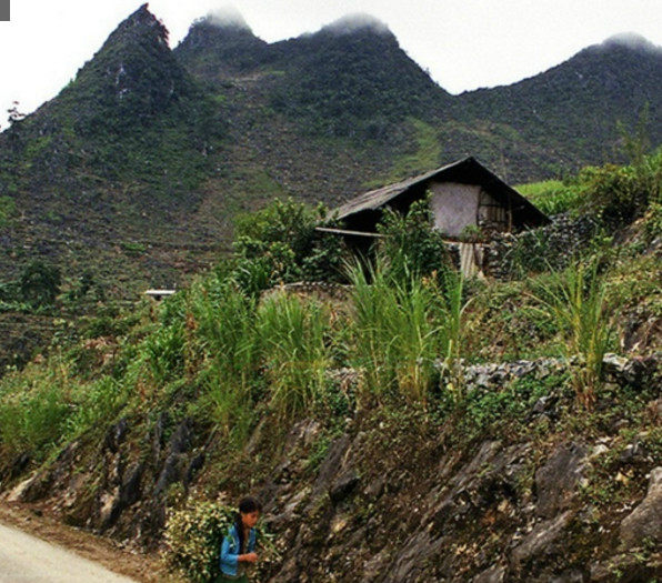 都说农村生活好,有些农村却过的非常艰苦,农村真实生活|越南|农村