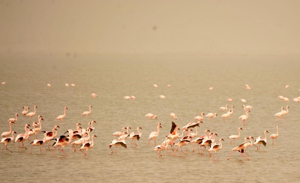 小攻略1:从毛里塔尼亚陆路过关到塞内加尔,免签