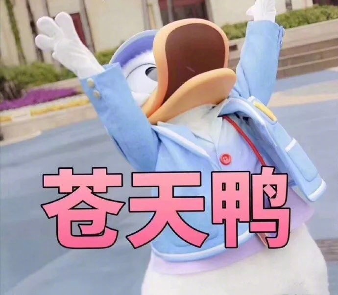 值得珍藏的鸭鸭表情包