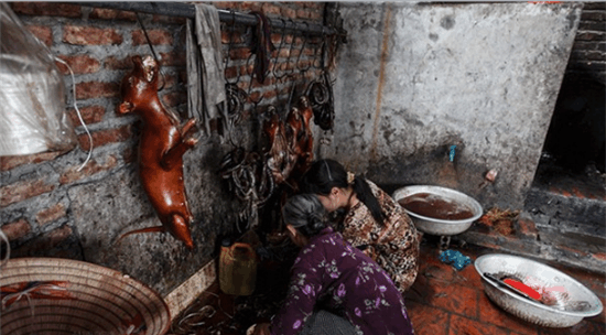 看了越南人吃狗肉, 再看看玉林狗肉节, 简直就是狗肉的天堂