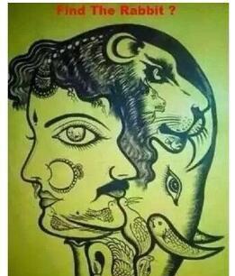 能做出8道的人,观察力已经非常了不起了!分享你的答案在评论区吧