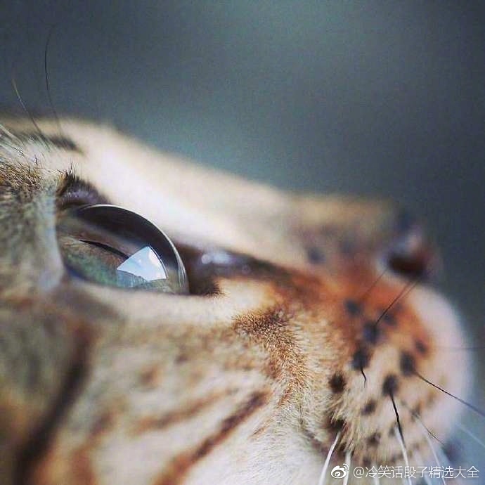 沉醉在这一双双藏着星辰大海的眼眸中_新浪看点