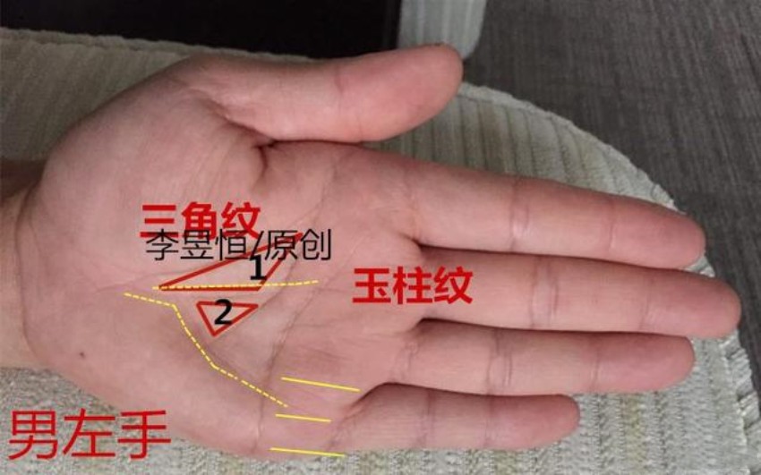 手相双龙纹正偏财均有一马平川十人九富