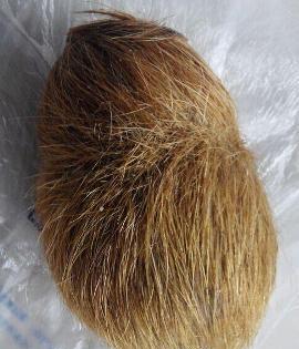 一起来了解一下67何谓狗宝驴宝马宝牛宝羊宝