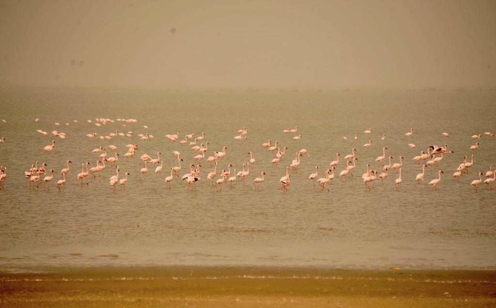 小攻略1:从毛里塔尼亚陆路过关到塞内加尔,免签