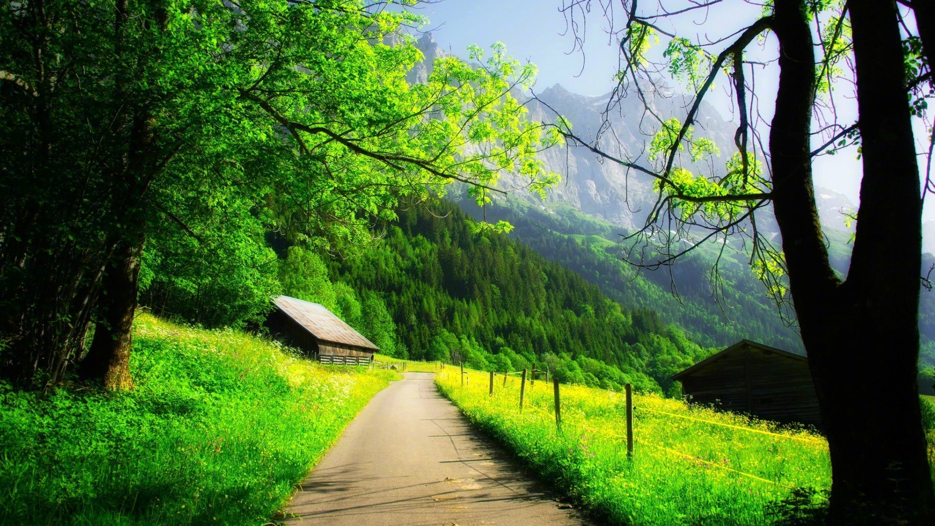 美好的人生,一定不要错过旅途中的各种风景.不管你是站在哪里