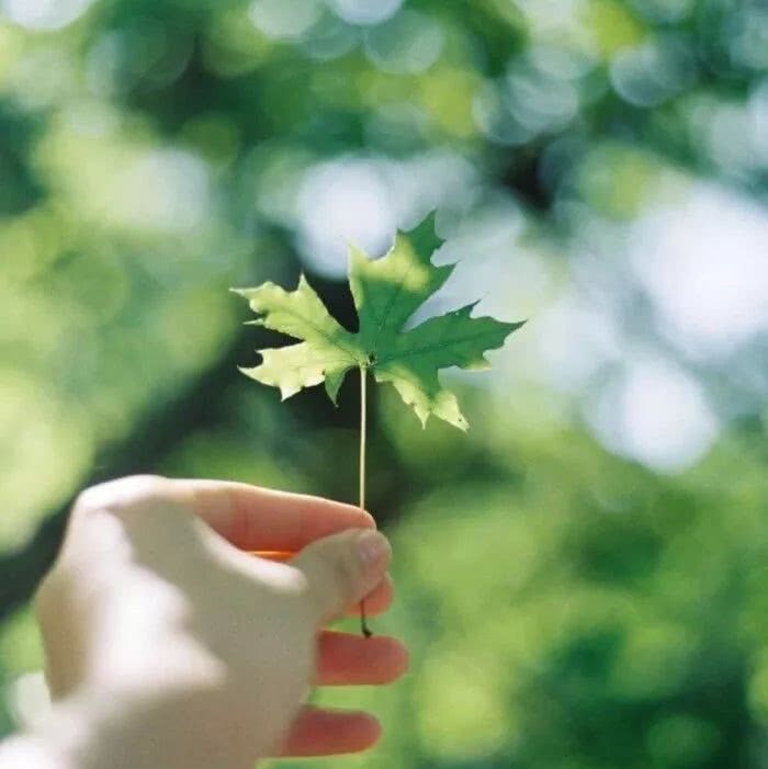 人活着平淡就好