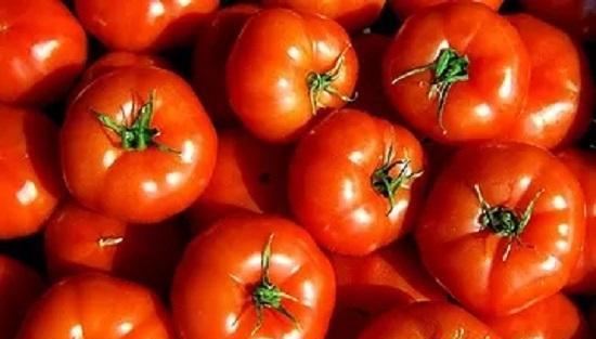每天一个西红柿一个月会怎样_西红柿是感光食物吗