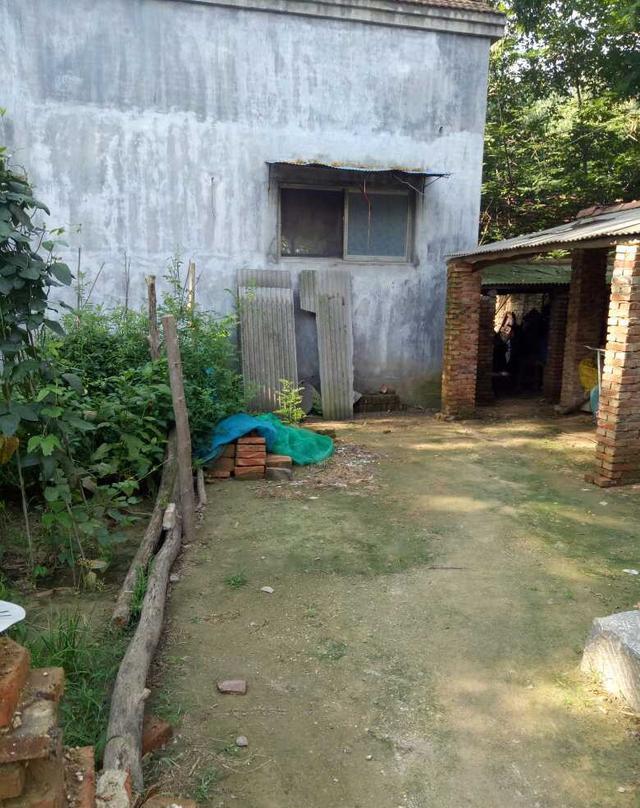 中秋回农村来了, 晒晒我家的农村小院, 还是农村好|农村|院子|房子