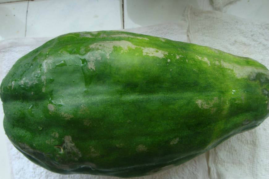 菜瓜含有维生素c,能起到美容养颜的作用