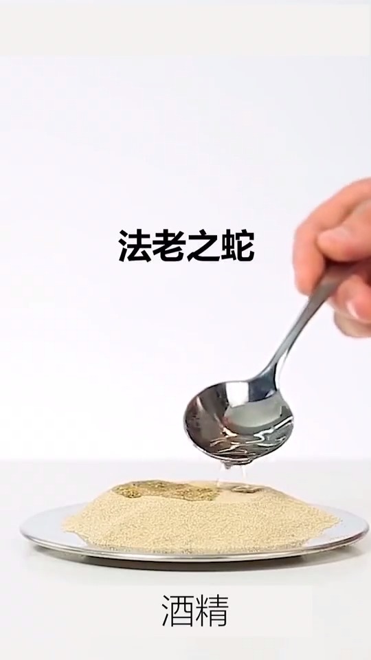 法老之蛇,自己做要注意安全!