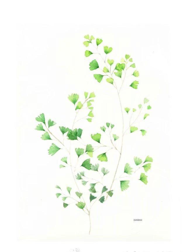 插画 来一组小清新插画配图