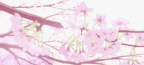 动漫里超唯美樱花雨,动图让人忍不住想收藏