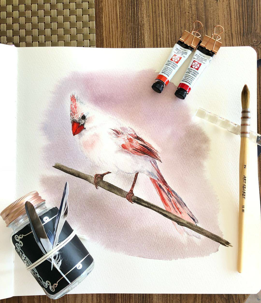 插画师的写实风格水彩手绘 第一张的孔雀好美啊 插画师的写实风格水彩手绘 第一张的孔雀好美啊